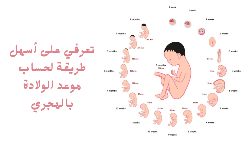 Read more about the article تعرفي على أسهل طريقة لحساب موعد الولادة بالهجري
