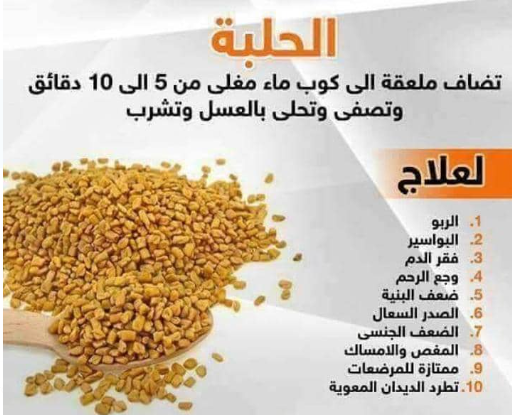 Read more about the article أهم فوائد الحلبة للنساء